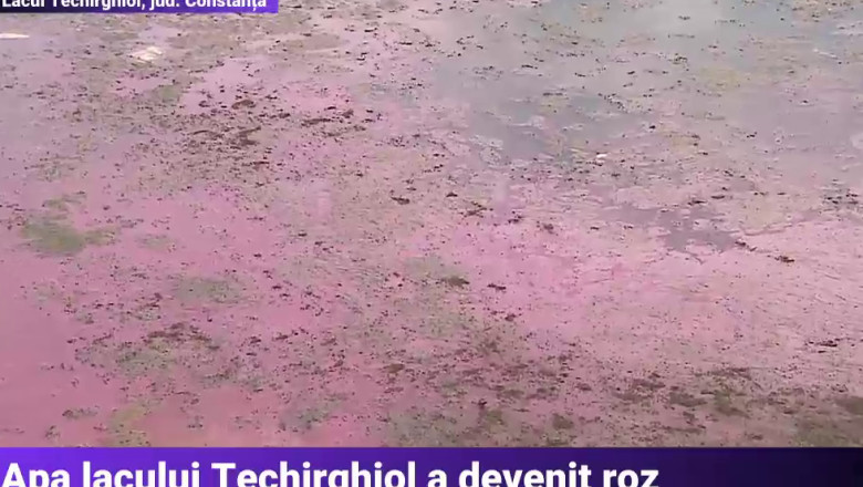 Fenomen spectaculos la Techirghiol, unde apa lacului a devenit roz. Care este explicatia Imagine