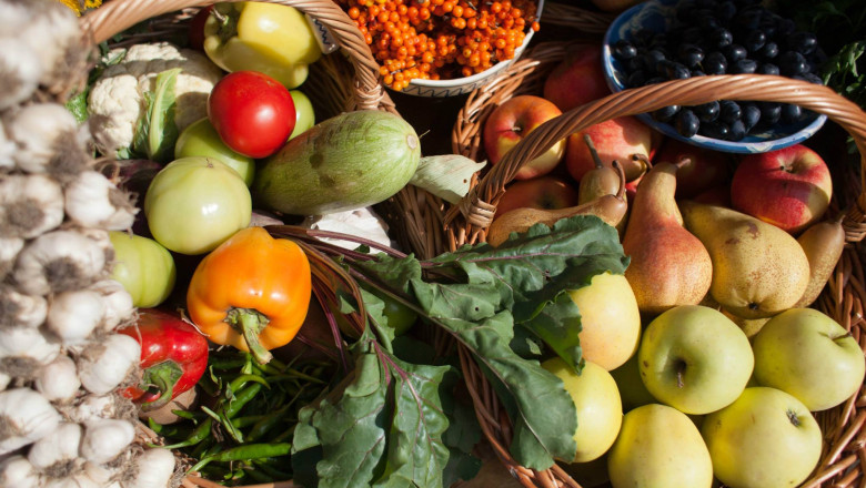 Ferma BIO, o afacere sanatoasa si profitabila Imagine