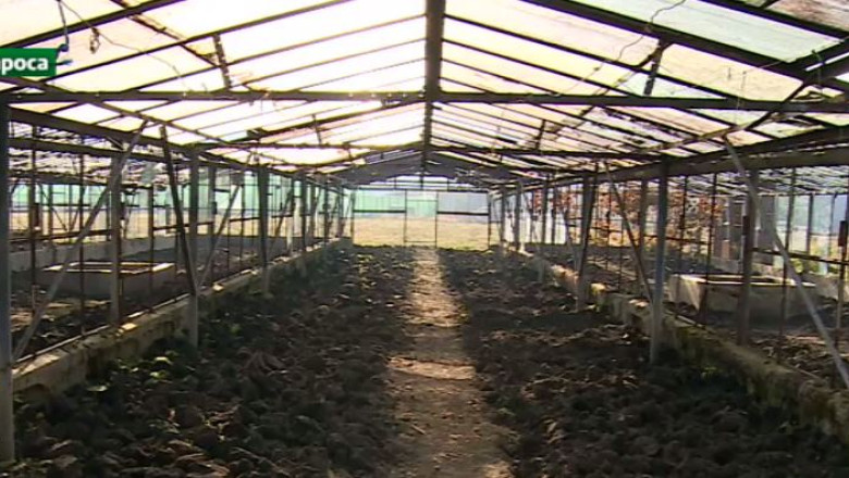 Ferma de dupa gratii Imagine