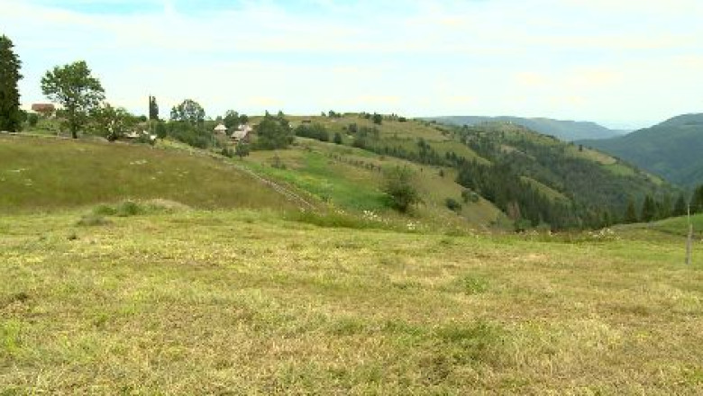 Fermier clujean, in atentia DNA Imagine