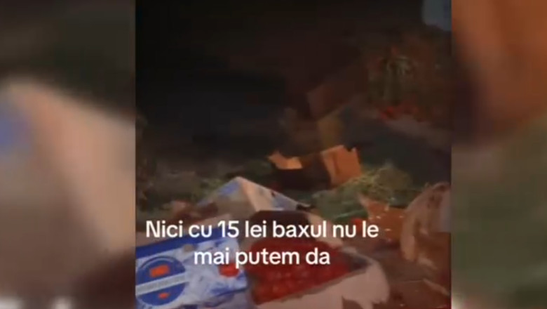 Fermierii arunca din nou tone de rosii. Ei se plang de Programul Tomata, care duce la preturi prea mici Imagine