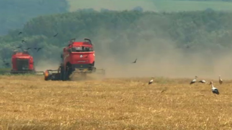 Fermierii nu se inghesuie la credite. Statul garanteaza 50% din creditul luat pentru cumpararea unui teren Imagine