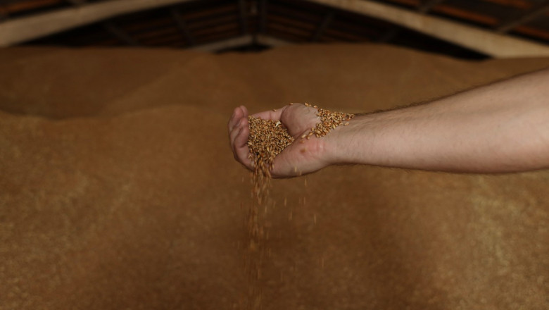 Fermierii romani cer compensatii pentru produsele nevandute din cauza "concesiilor" acordate agricultorilor ucraineni Imagine
