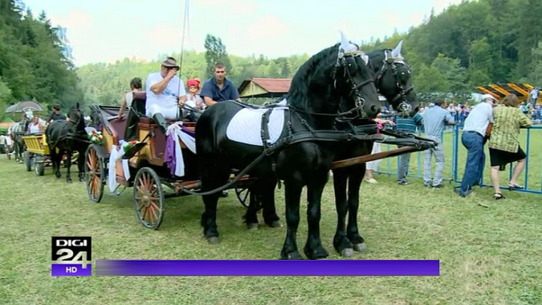 Festival Ecvestru la Rasnov: Cei mai frumosi cai din tara pot fi admirati cu ocazia Zilelor Orasului Imagine