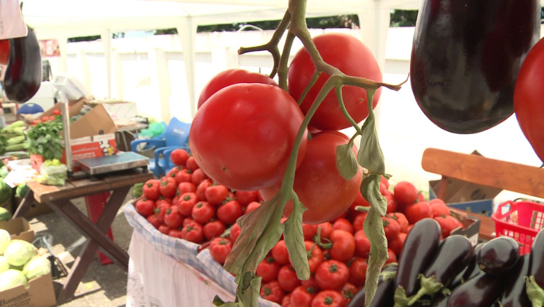 Festivalul Paradaicilor: fara bataie cu rosii sau campionat de... bulion Imagine