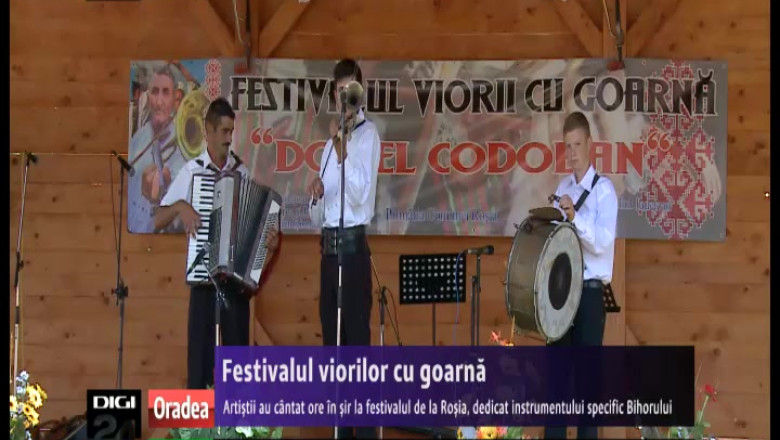 Festivalul viorilor cu goarna. Artistii au cantat ore in sir la festivalul de la Rosia Imagine