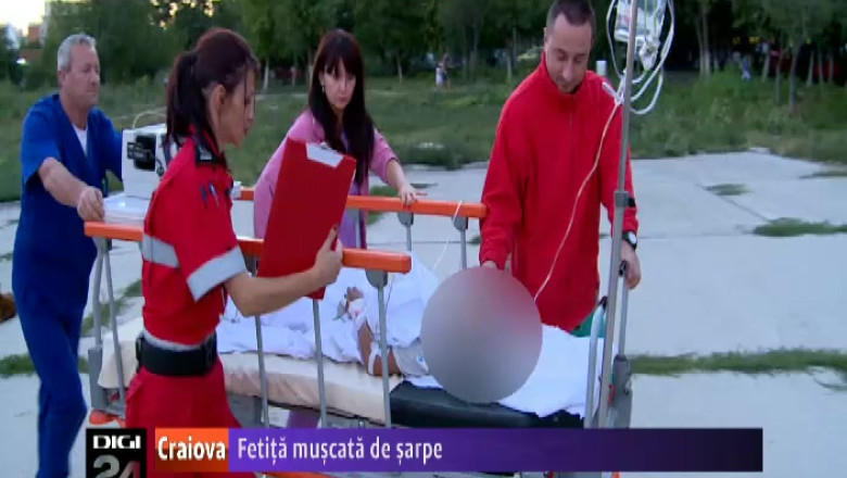 Fetita muscata de sarpe, la marginea unei pasuni, in judetul Arges  Imagine