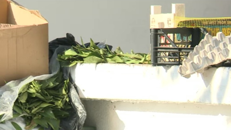 Fiecare roman produce 10 tone de gunoi pe an, dublu fata de media europeana Imagine