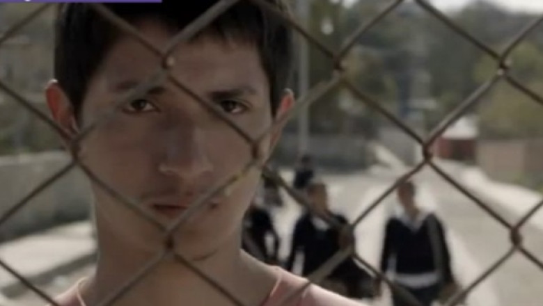 Filmele premiate la Cannes au ajuns la Bucuresti Imagine