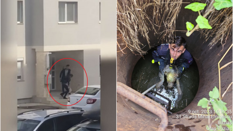 Filmul atacului in care o femeie este injunghiata de amantul gelos. Barbatul salvase un caine dintr-un canal, in urma cu cateva zile Imagine