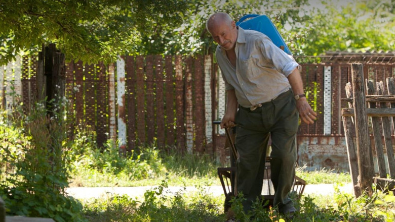 Filmul „Cainele japonez”, premiat la Festivalul de Film de la Varsovia Imagine
