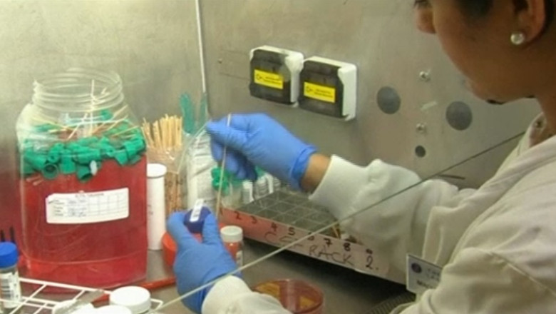 Fiole cu virusul variolei, descoperite intr-un depozit in SUA Imagine