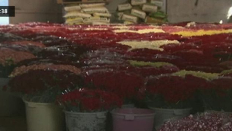 Flori mai putine de Ziua Indragostitilor. Turcia si Bulgaria, in disputa comerciala privind licentele de tranzit Imagine