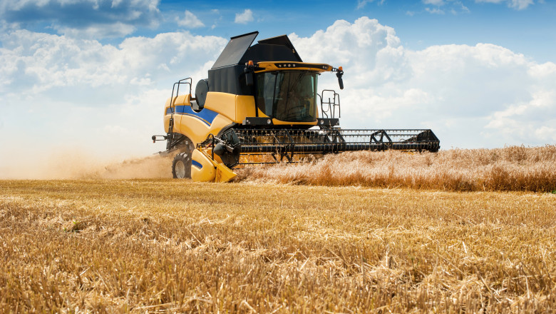 FMI: Pretul global al cerealelor ar putea creste cu 15%, dupa ce Rusia s-a retras din acordul ce permite tranzitul pe Marea Neagra Imagine