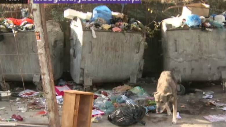 Focar de infectie la Medgidia. Peste 60.000 de oameni au ramas cu mizeria in fata caselor Imagine