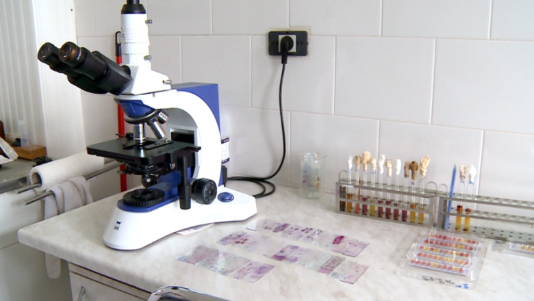 Focar de rabie in municipiul Iasi. O pisica turbata a muscat o persoana. Alti 8 ieseni au fost vaccinati Imagine