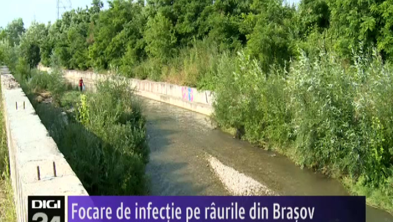 Focare de infectie pe raurile din Brasov Imagine