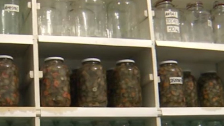 FONDURI EUROPENE. Spitalul din Jimbolia a amenajat o sera din care asigura hrana pacientilor Imagine