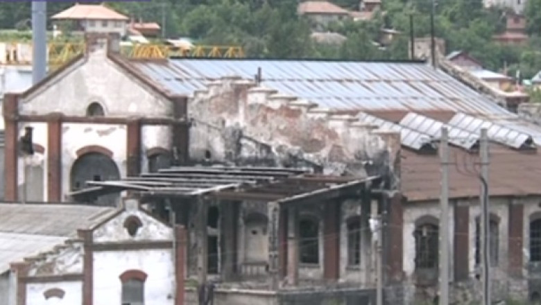 Foresta Nehoiu, fabrica de cherestea cu 3.000 de angajati pe care Omar Hayssam a pus-o pe butuci Imagine