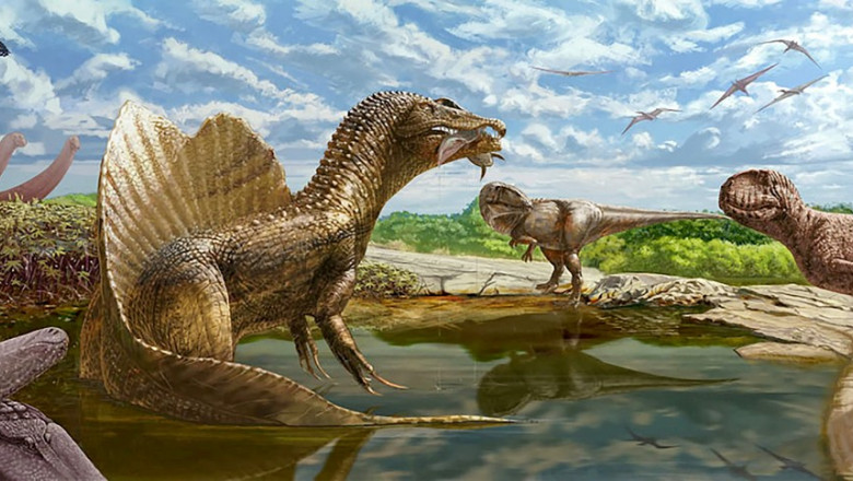 Fosila unui dinozaur care a trait in urma cu aproape 100 de milioane de ani, descoperita la 300 km de Cairo Imagine