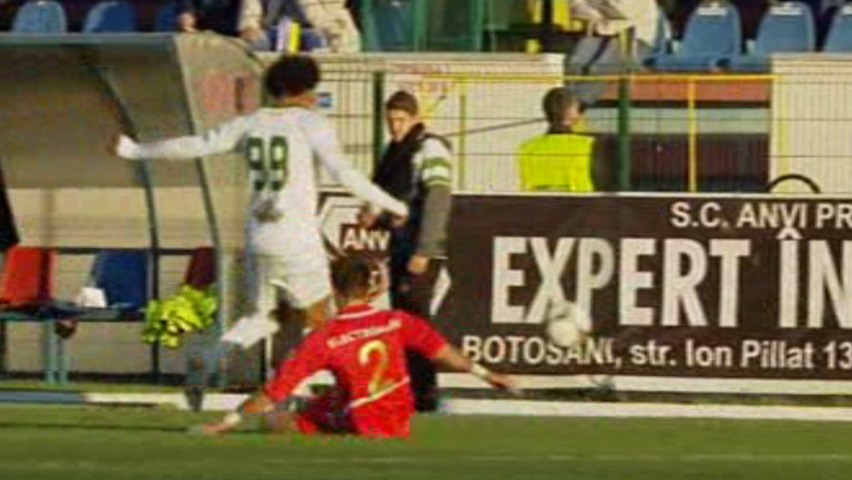 FOTBAL. FC Botosani va juca sapte meciuri amicale Imagine