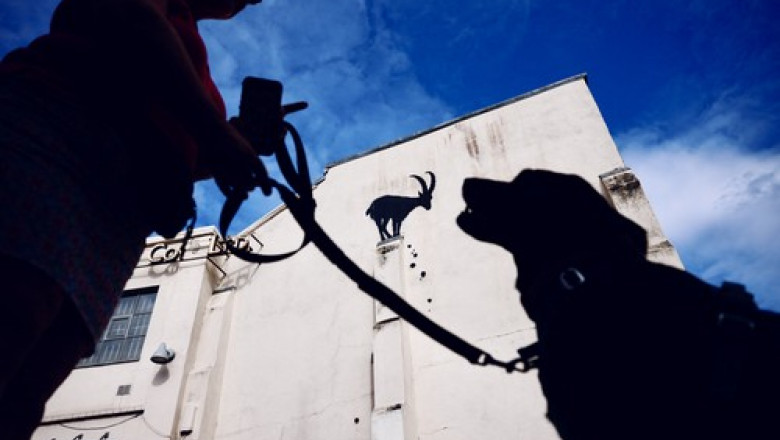 FOTO Banksy a dezvaluit o noua opera de arta pe o cladire din Londra Imagine