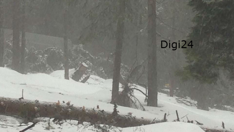 FOTO EXCLUSIV. Imagini de la accidentul aviatic. Salvator: Cand a iesit avionul de sub ceata a lovit primul brad, si al doilea, si al treilea Imagine