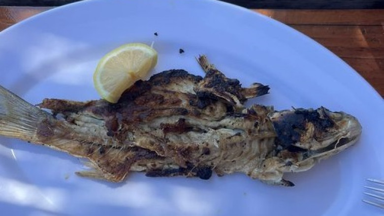 FOTO „Nu e cine stie ce, dar macar e scump”. Experienta unui turist la un restaurant din Vama Veche a devenit virala Imagine