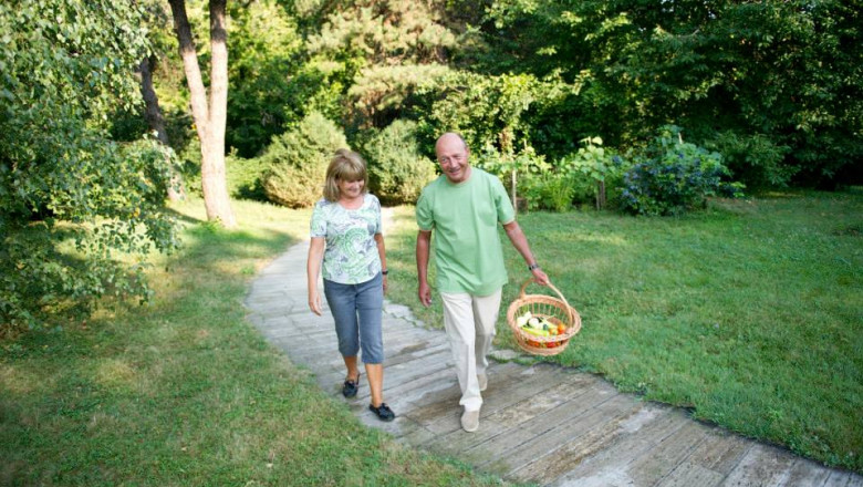 FOTO Presedintele Traian Basescu, „un mic horticultor”, posteaza pe Facebook poze din gradina sa de legume Imagine