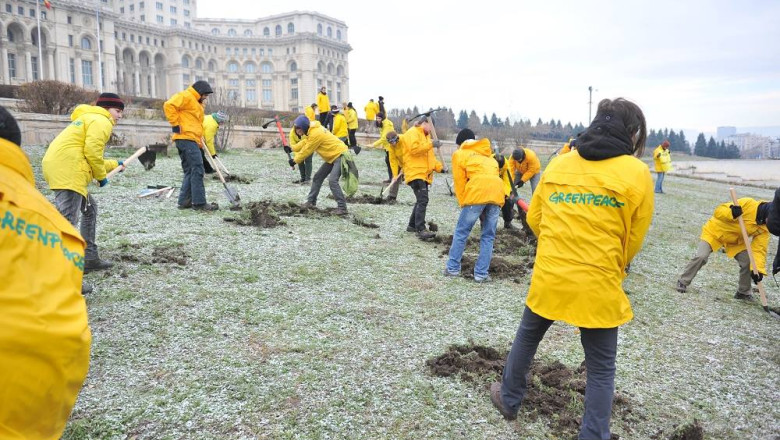 FOTO Protest in curtea Parlamentului. Activisti Greenpeace din 10 tari au sarit gardul inarmati cu tarnacoape Imagine
