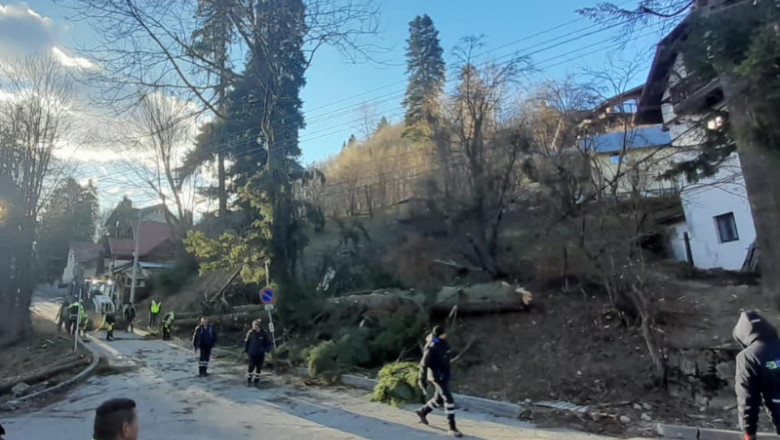 FOTO. Vant puternic la Sinaia. Zeci de gospodarii fara electricitate, stalpi de curent si arbori doborati Imagine