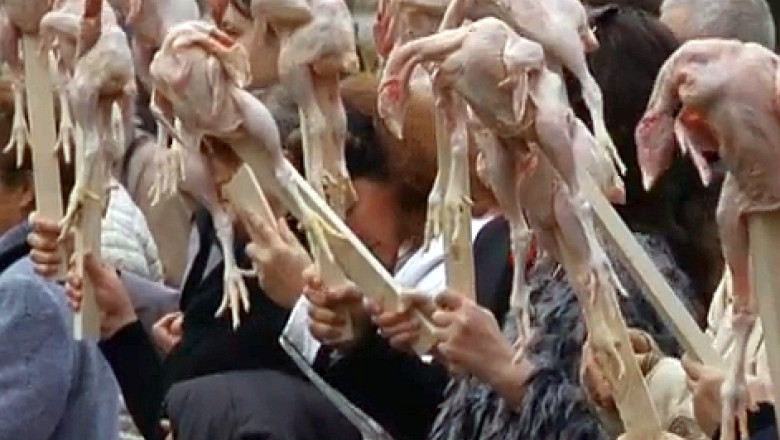 FOTO VIDEO Gazele de sist scot oamenii in strada si in Ucraina si Canada. In New Brunswick s-au incendiat masini ale politiei, la Lvov s-a protestat pasnic cu pui de gaina Imagine