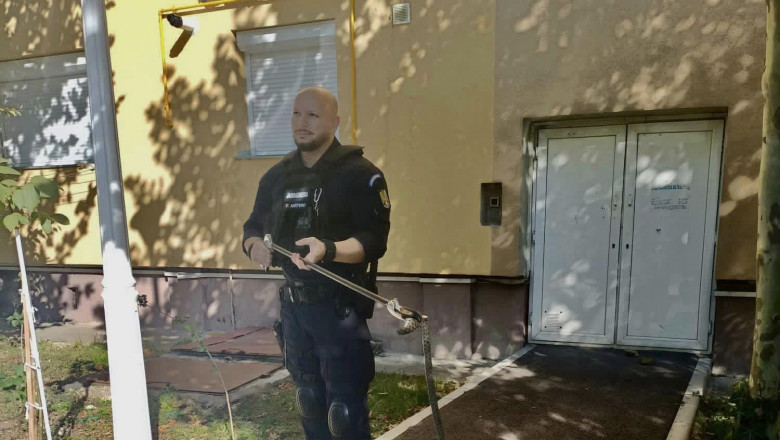 FOTO Vipera, gasita langa scara unui bloc din Drobeta-Turnu Severin Imagine