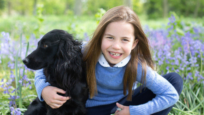 Fotografie inedita cu Orla, cainele ducilor de Cambridge. Mesajul special transmis de William si Kate Imagine