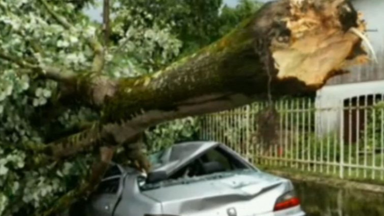 Franta, lovita de furtuni puternice. Cel putin trei oameni au murit in sud-vestul si centrul tari Imagine