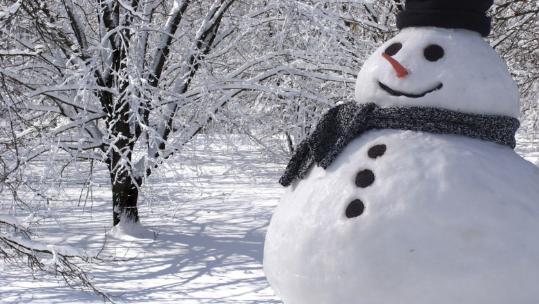 Franta. Omul de zapada din fata primariei din Tours a fost furat Imagine