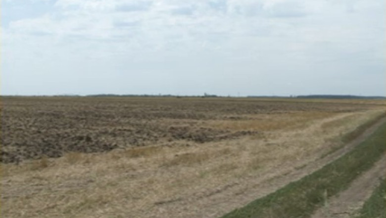 Frauda cu terenurile statului. Un om de afaceri este proprietar pe terenul unei statiuni de cercetare Imagine