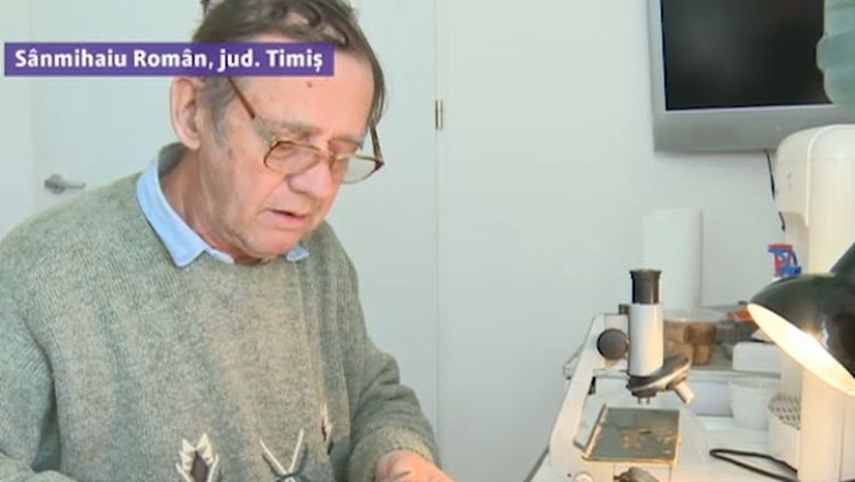 Frica de trichineloza i-a trimis la veterinar pe timisenii care au sacrificat porci Imagine