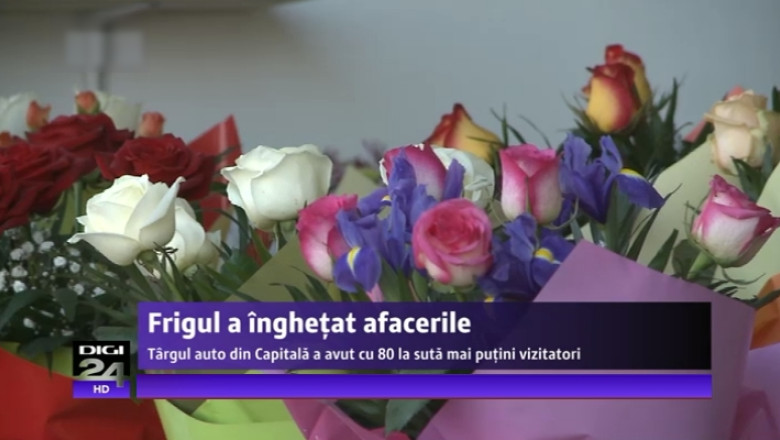Frigul si zapada au inghetat temporar unele afaceri. Cine a avut cel mai mult de suferit Imagine