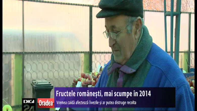 Fructele romanesti vor fi mai scumpe in 2014. Iarna calda e de vina, spun fermierii Imagine