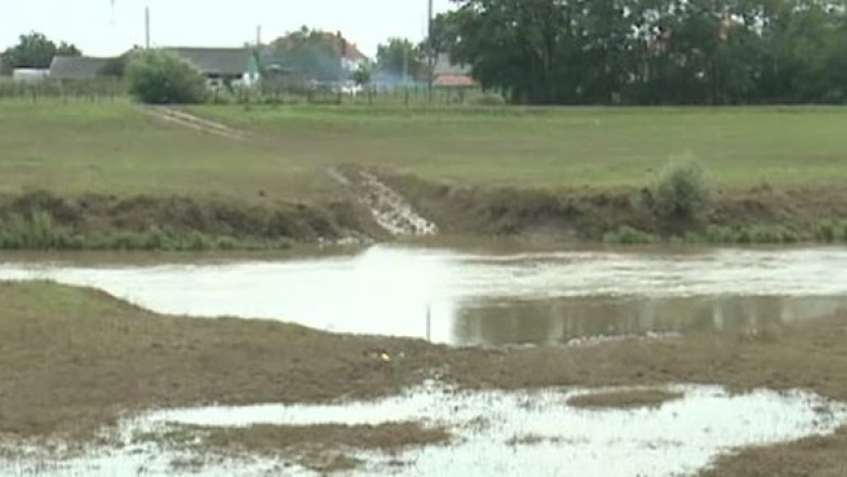 Furt din zona inundata. Trei femei au sustras fier din structura de intarire a digului de la Gataia Imagine