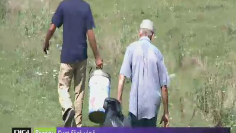 Furt fara vina Imagine