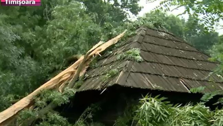 Furtuna a distrus o casa la Muzeul Satului din Timisoara Imagine