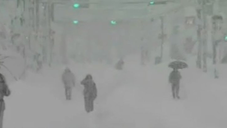 Furtuna de zapada in Japonia. Cel putin trei oameni au murit si alti 850 au fost raniti Imagine