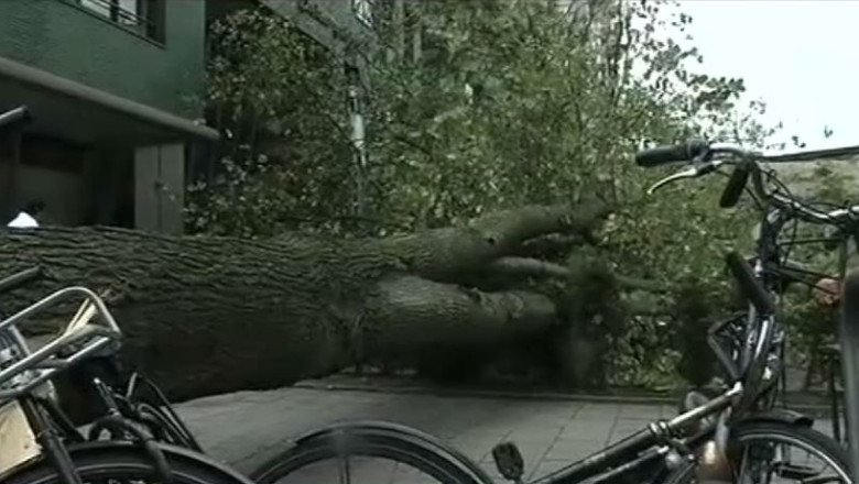 Furtuna se extinde in nord-vestul Europei. Bilantul, cel putin 13 morti si sute de mii de locuinte fara curent Imagine