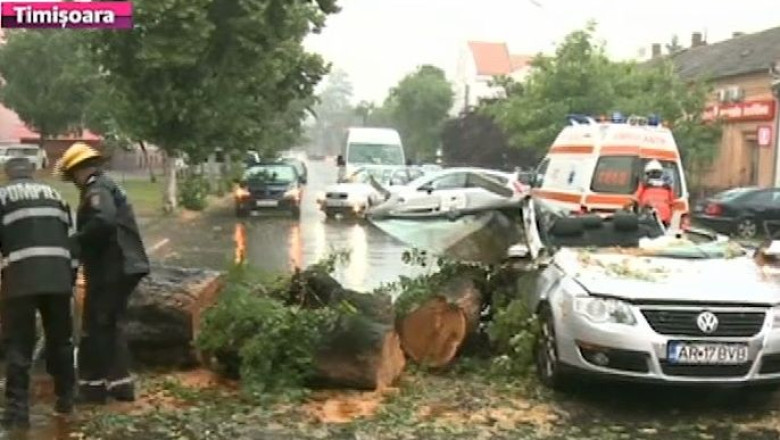 Furtuna ucigasa. Un copac smuls din radacini a cazut peste o masina: soferul a murit pe loc Imagine