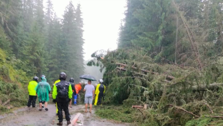 Furtuna violenta pe Transalpina. Zeci de masini sunt blocate din cauza copacilor smulsi de vant si aruncati pe sosea Imagine