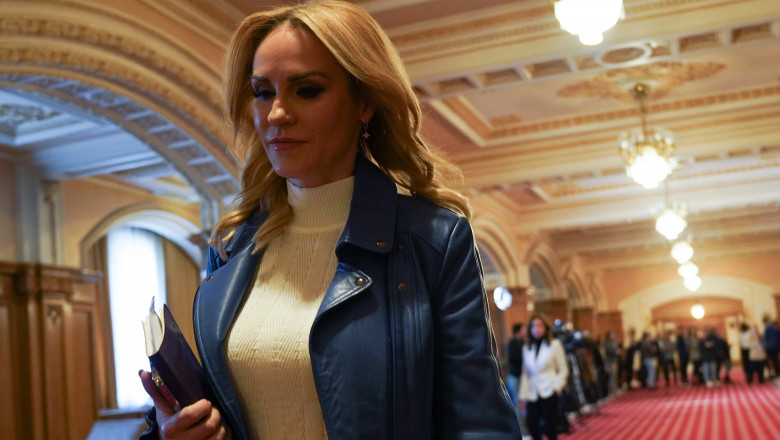 Gabriela Firea, despre candidatura la europarlamentare: „Nu a fost proiectul vietii mele, dar nu cred ca e o retrogradare” Imagine