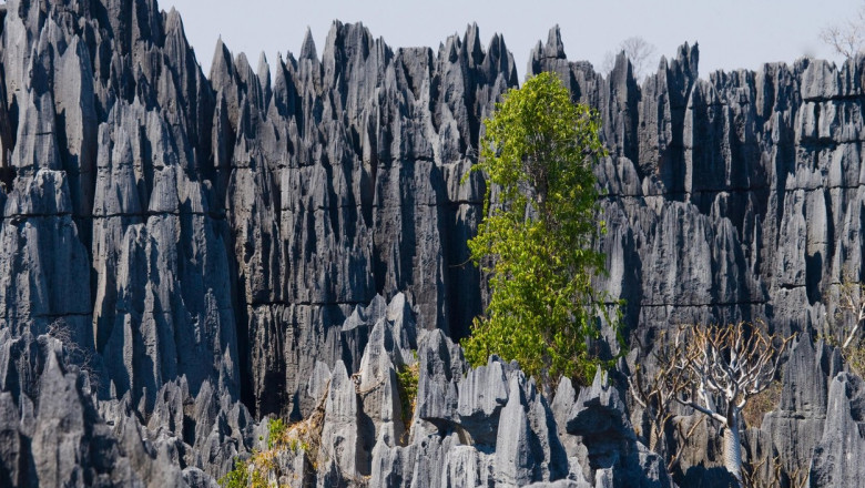 GALERIE FOTO. Un peisaj desprins parca dintr-o lume nepamanteana: „Locul unde nu se poate merge descult” Imagine