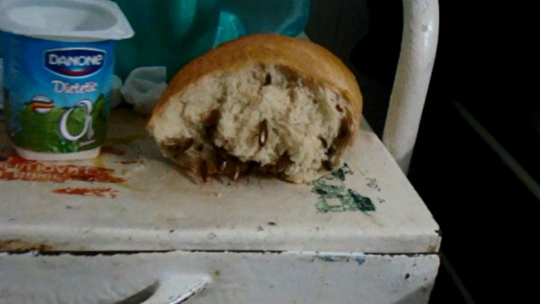 Gandacii si tratamentele, cosmar pentru bolnavi. Managerul Spitalului Judetean neaga ca ar exista aceste probleme Imagine